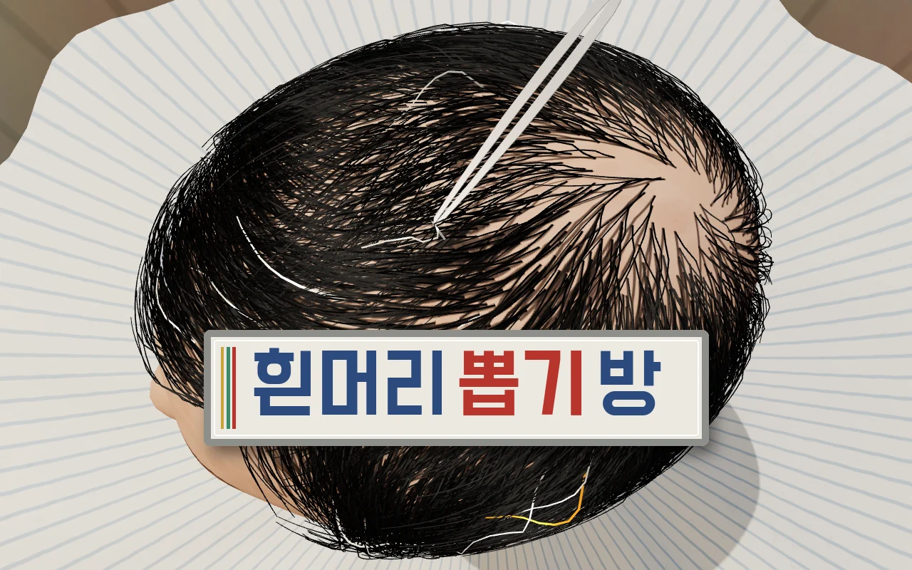 위에서 내려다본 손님 머리통, 검은 머리 사이 흰머리를 족집게로 집어 당기는 장면과 흰머리뽑기방 제목